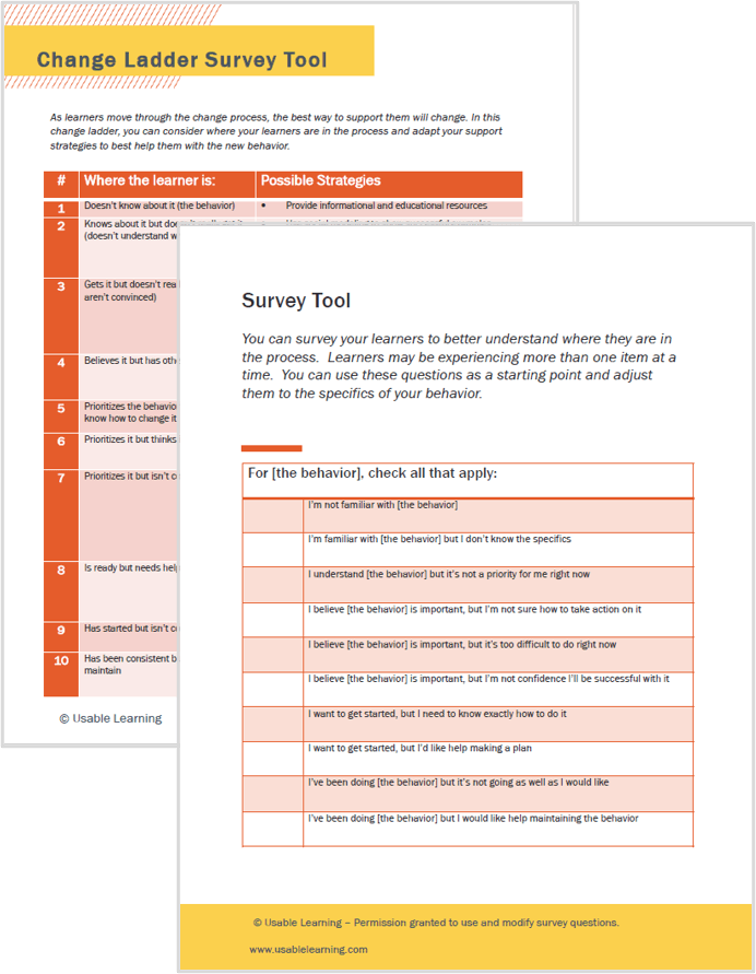 images of Julie's change ladder survey tool pages